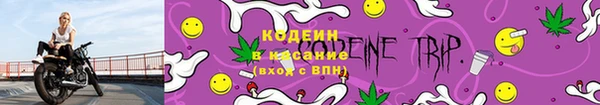 эйфоретик Богданович